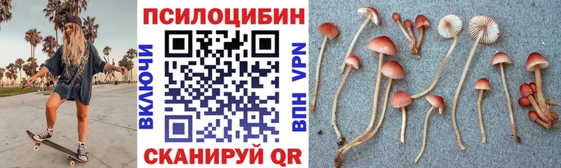 Псилоцибиновые грибы мухоморы  Белокуриха 